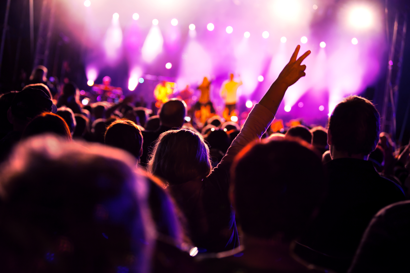 Music fans at a live concert